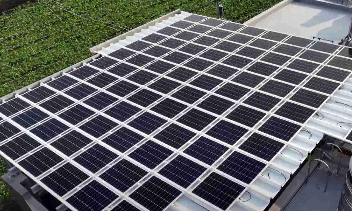 人生就是博SunSteel光电浪板升级双玻结构，，，以提升机械负载强度及气候耐候度，，，可广泛运用于多元场域