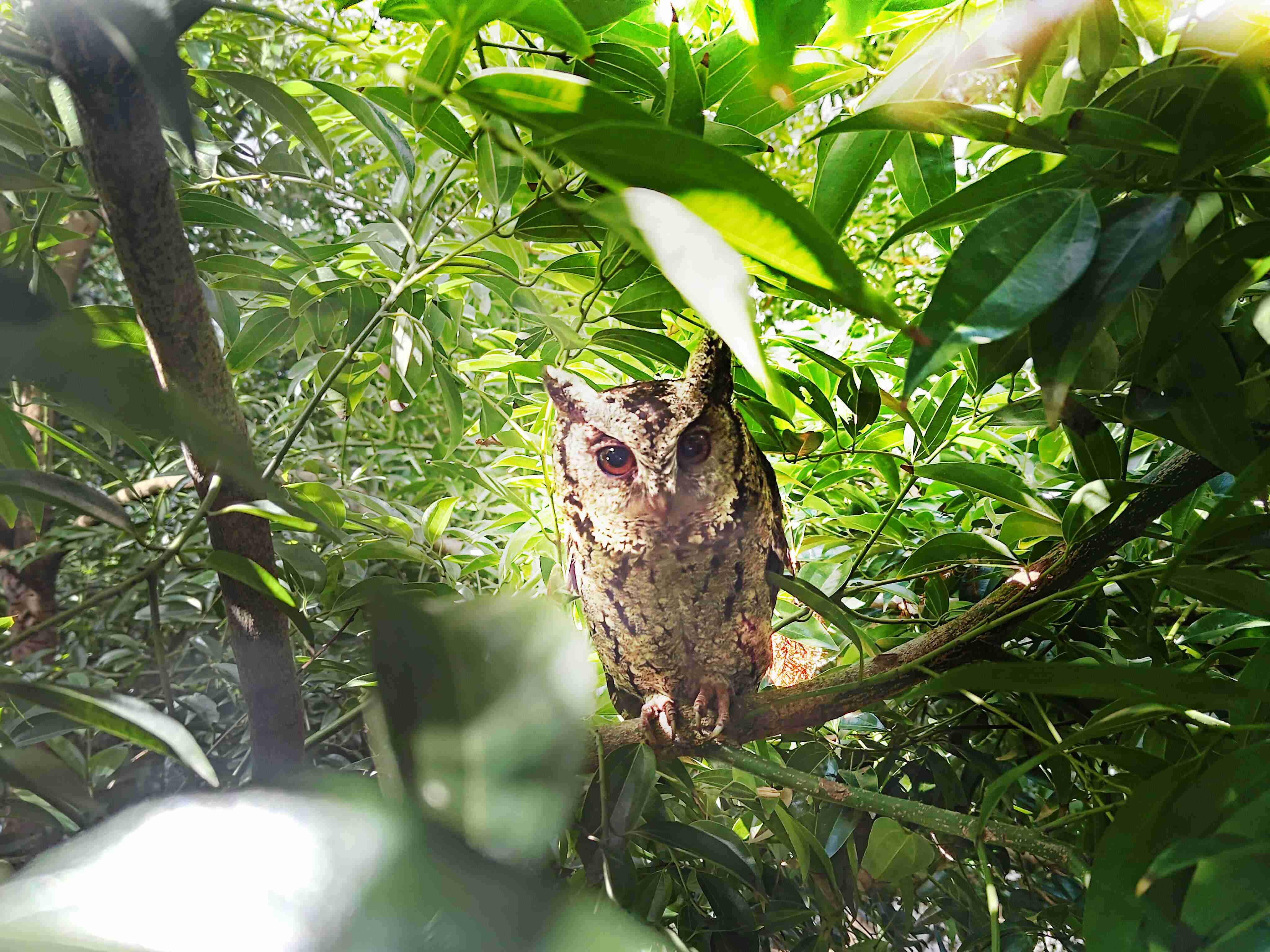 人生就是博致力提倡净零绿生活，，，，16年以来在全球各厂区植树逾百万棵，，，造就各厂区树木蔚然成林，，，犹如森林工厂，，，成为许多生物的栖息地